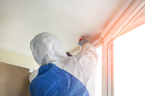 Biohazard Mold Removal in Oyster Bay Cove, NY